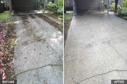 Hypo SuperFoam+ 10L (Moss & Algae Remover) Softwash Solution