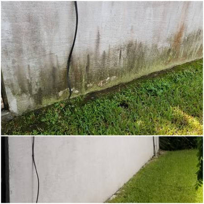 Hypo SuperFoam+ 10L (Moss & Algae Remover) Softwash Solution